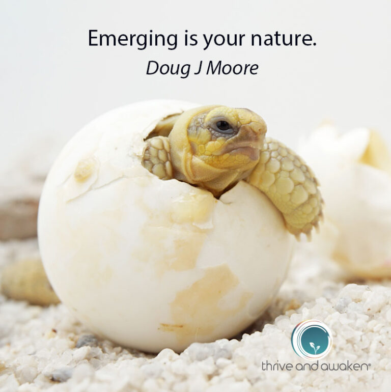 Turtle emerging from a shell. Saying: Emerging is your nature